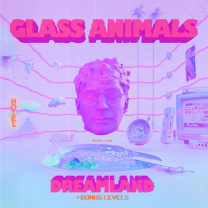 Download Lagu Glass Animals - Heat Waves MP3 Download Lagu Glass Animals - Heat Waves MP3