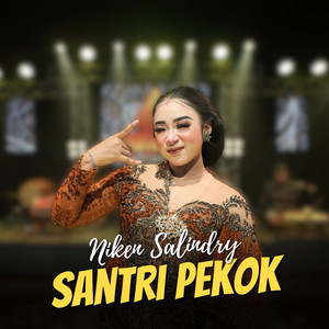Download Lagu Niken Salindry - Santri Pekok MP3 Download Lagu Niken Salindry - Santri Pekok MP3