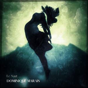 Download Lagu Dominique Marais - Le Saut MP3 Download Lagu Dominique Marais - Le Saut MP3