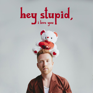 Download Lagu JP Saxe - Hey Stupid, I Love You MP3