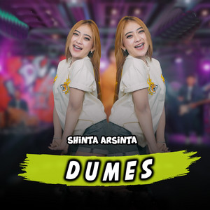 Download Lagu Shinta Arsinta - Dumes MP3