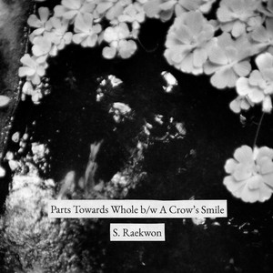 Download Lagu S. Raekwon - Parts Towards Whole MP3 Download Lagu S. Raekwon - Parts Towards Whole MP3