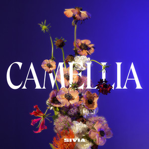 Download Lagu SIVIA - Intro, Camellia MP3 Download Lagu SIVIA - Intro, Camellia MP3