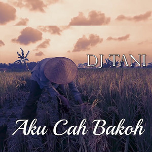 Download Lagu DJ TANI - Aku Cah Bakoh MP3 Download Lagu DJ TANI - Aku Cah Bakoh MP3