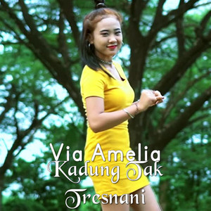 Download Lagu Via Amelia - Kadung Tak Tresnani MP3 Download Lagu Via Amelia - Kadung Tak Tresnani MP3