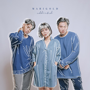 Download Lagu Marigold - Addicted MP3