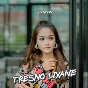 Download Lagu Safira Inema - Tresno Liyane MP3 Download Lagu Safira Inema - Tresno Liyane MP3