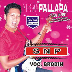 Download Lagu Brodin - Saudara New Pallapa MP3