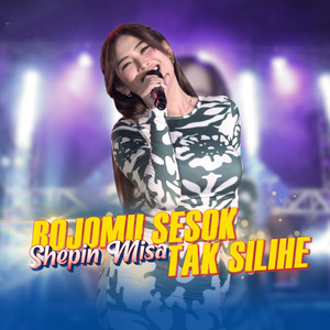 Download Lagu Shepin Misa - Bojomu Sesok Tak Silihe MP3 Download Lagu Shepin Misa - Bojomu Sesok Tak Silihe MP3