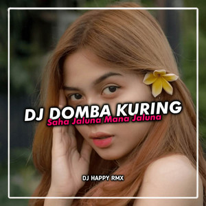 Download Lagu Dj Happy Rmx - DJ Domba Kuring - Saha Jaluna Mana Jaluna INS MP3 Download Lagu Dj Happy Rmx - DJ Domba Kuring - Saha Jaluna Mana Jaluna INS MP3