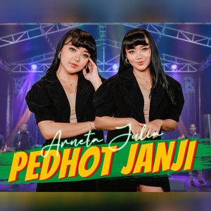 Download Lagu Arneta Julia - Pedhot Janji MP3