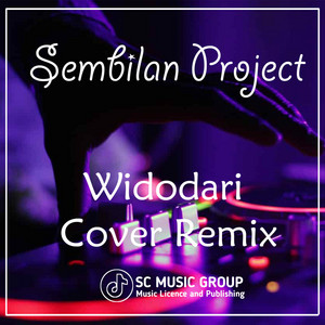 Download Lagu Sembilan Project - Dj Widodari MP3