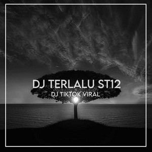 Download Lagu Dj TikTok Viral - Dj Terlalu ST12 Slow Bass Terbaru 2023 MP3