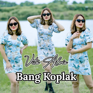 Download Lagu Vita Alvia - Bang Koplak MP3
