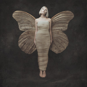 Download Lagu AURORA - Through The Eyes Of A Child MP3 Download Lagu AURORA - Through The Eyes Of A Child MP3