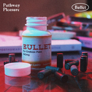 Download Lagu Pathway Pleasure - Bullet MP3