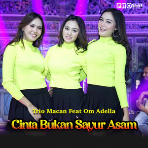 Download Lagu Trio Macan, OM ADELLA - Cinta Bukan Sayur Asem MP3 Download Lagu Trio Macan, OM ADELLA - Cinta Bukan Sayur Asem MP3