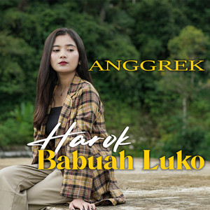 Download Lagu Anggrek - Harok Babuah Luko MP3 Download Lagu Anggrek - Harok Babuah Luko MP3