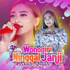 Download Lagu Shinta Arsinta - Wonogiri Ninggal Janji MP3 Download Lagu Shinta Arsinta - Wonogiri Ninggal Janji MP3
