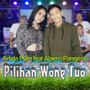 Download Lagu Arlida Putri, Abiem Pangestu - Pilihan Wong Tuo MP3 Download Lagu Arlida Putri, Abiem Pangestu - Pilihan Wong Tuo MP3