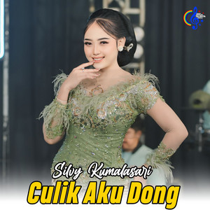 Download Lagu Silvy Kumalasari - Culik Aku Dong MP3
