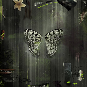 Download Lagu Glaskaca - Killjoy MP3 Download Lagu Glaskaca - Killjoy MP3