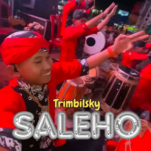 Download Lagu Trimbil sky - Saleho MP3 Download Lagu Trimbil sky - Saleho MP3