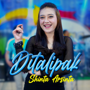 Download Lagu Shinta Arsinta - Ditalipak MP3 Download Lagu Shinta Arsinta - Ditalipak MP3