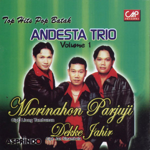 Download Lagu Andesta Trio - Sidalianmu MP3 Download Lagu Andesta Trio - Sidalianmu MP3