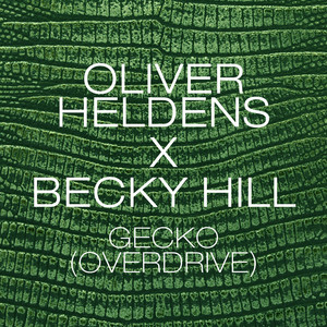 Download Lagu Oliver Heldens, Becky Hill - Gecko (Overdrive) - Radio Edit MP3 Download Lagu Oliver Heldens, Becky Hill - Gecko (Overdrive) - Radio Edit MP3