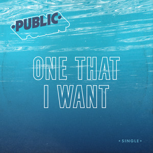 Download Lagu PUBLIC - One That I Want MP3 Download Lagu PUBLIC - One That I Want MP3