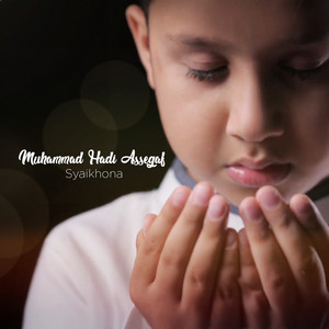 Download Lagu Muhammad Hadi Assegaf - Syaikhona MP3