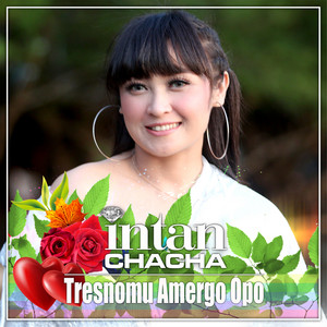 Download Lagu Intan Chacha - Tresnomu Amergo Opo MP3