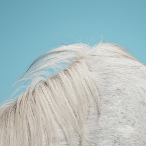 Download Lagu Widowspeak - All Yours MP3