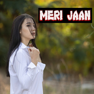 Download Lagu Alka Yagnik, KK - Meri Jaan MP3 Download Lagu Alka Yagnik, KK - Meri Jaan MP3