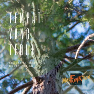 Download Lagu Franky Sihombing, Bobby Febian - Tempat Yang Teduh MP3 Download Lagu Franky Sihombing, Bobby Febian - Tempat Yang Teduh MP3