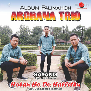Download Lagu Arghana Trio - Sayang MP3