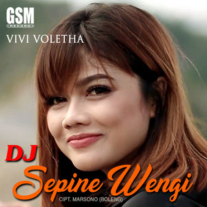 Download Lagu Vivi Voletha - Dj Sepine Wengi MP3