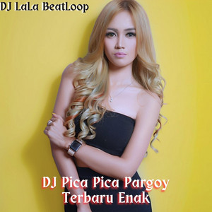 Download Lagu DJ LaLa Beatloop - DJ Pica Pica Pargoy Terbaru Enak MP3