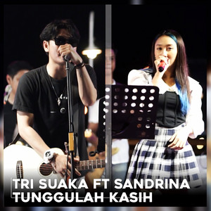 Download Lagu Tri Suaka, Sandrina - Tunggulah Kasih MP3 Download Lagu Tri Suaka, Sandrina - Tunggulah Kasih MP3