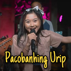 Download Lagu Lala Atila, Dangduters ID, Dangduters Band - Pacobaning Urip MP3 Download Lagu Lala Atila, Dangduters ID, Dangduters Band - Pacobaning Urip MP3