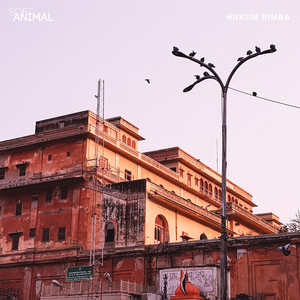 Download Lagu SoftAnimal - Hukum Rimba MP3 Download Lagu SoftAnimal - Hukum Rimba MP3