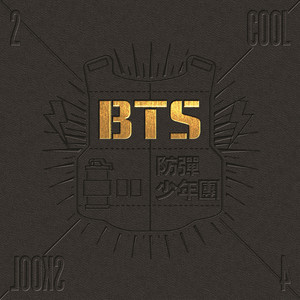 Download Lagu BTS - We Are Bulletproof Pt.2 MP3 Download Lagu BTS - We Are Bulletproof Pt.2 MP3