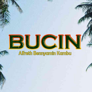 Download Lagu Alfreth Bennyamin Kambu - Bucin MP3