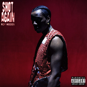 Download Lagu Roy Woods - Shot Again MP3 Download Lagu Roy Woods - Shot Again MP3