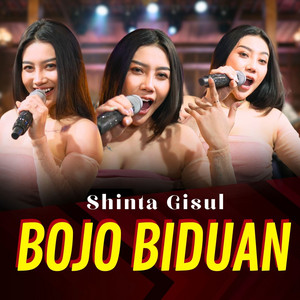 Download Lagu Shinta Gisul - Bojo Biduan MP3 Download Lagu Shinta Gisul - Bojo Biduan MP3