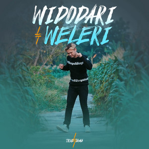 Download Lagu True Tama - Widodari Weleri MP3