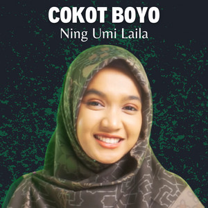 Download Lagu Ning Umi Laila - Cokot Boyo MP3 Download Lagu Ning Umi Laila - Cokot Boyo MP3
