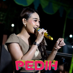 Download Lagu Difarina Indra - Pedih MP3 Download Lagu Difarina Indra - Pedih MP3