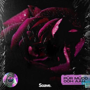 Download Lagu Púr Múdd - Ooh Aah MP3 Download Lagu Púr Múdd - Ooh Aah MP3